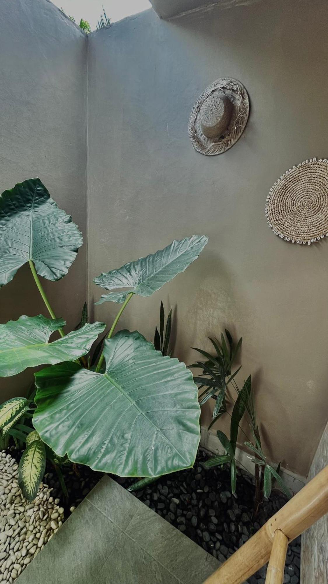 Papahan Bali サイドメン エクステリア 写真