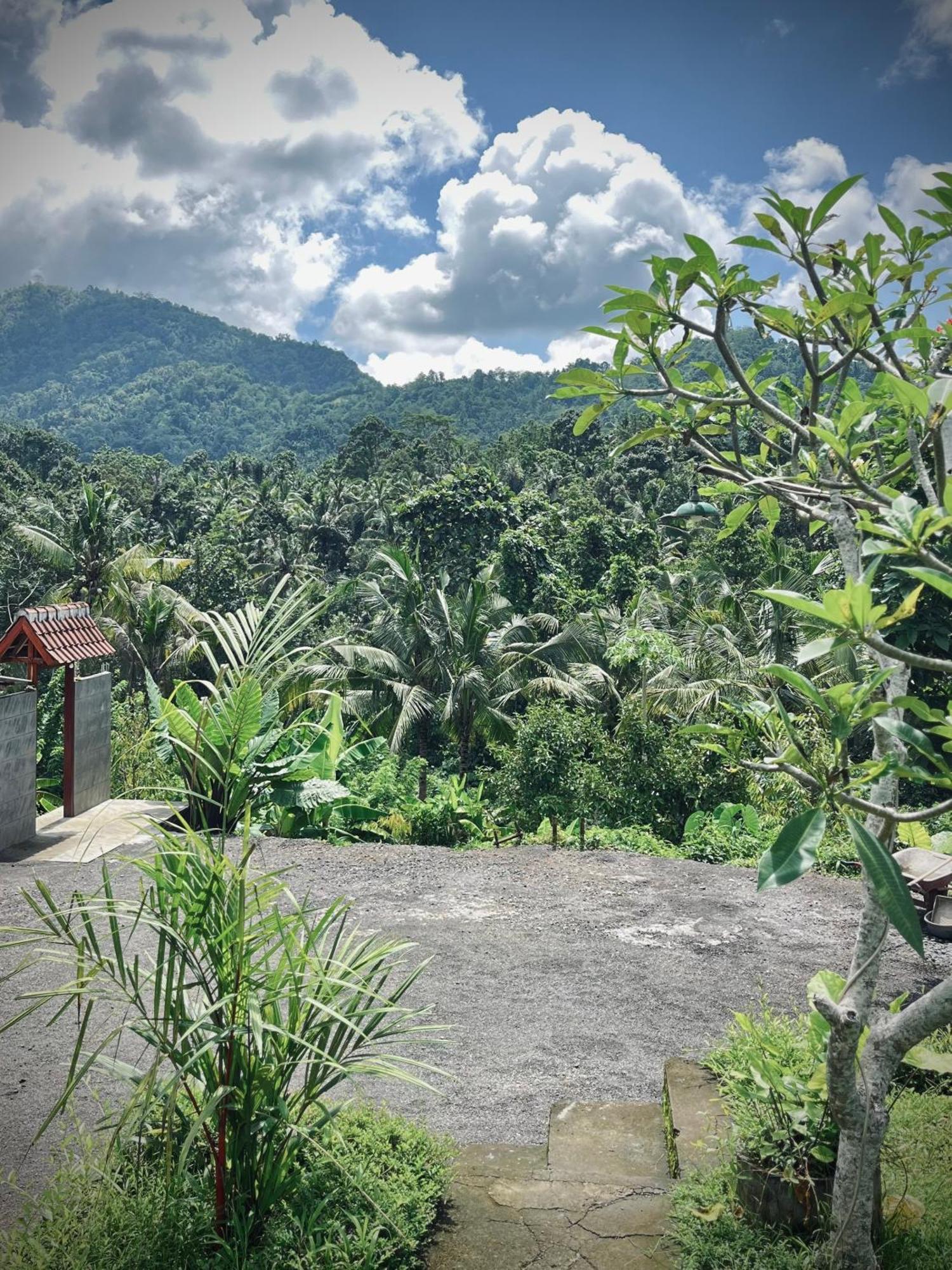 Papahan Bali サイドメン エクステリア 写真